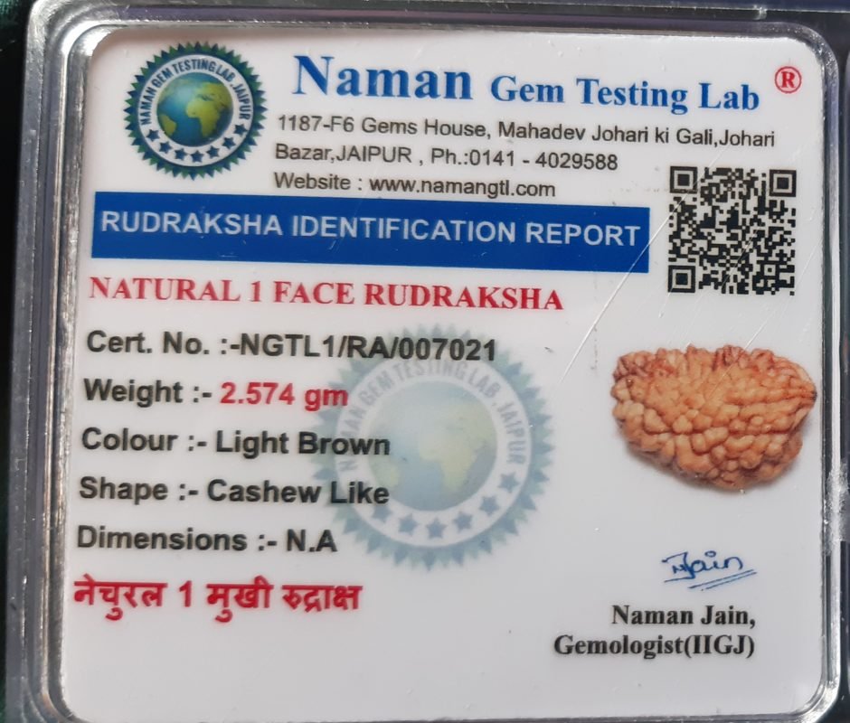 Certified 1 Mukhi Rudraksha Online