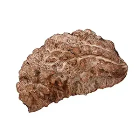 1 Mukhi