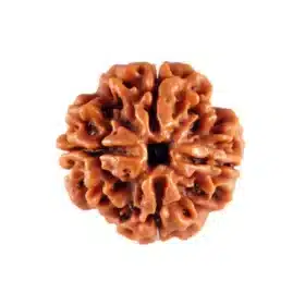 4 Mukhi