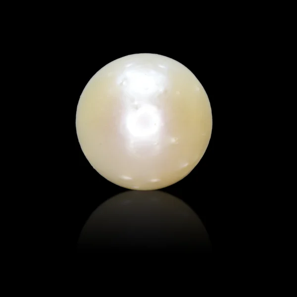 South Sea Pearl (Moti)- Certified Gemstone (3.31 ct)