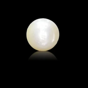 pearl 9.10