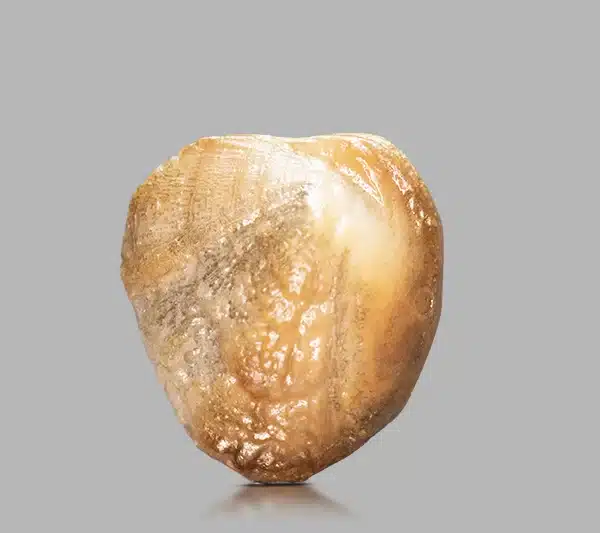 Natural Machh Mani 7.72 ct โ Certified Golden Brown Gemstone