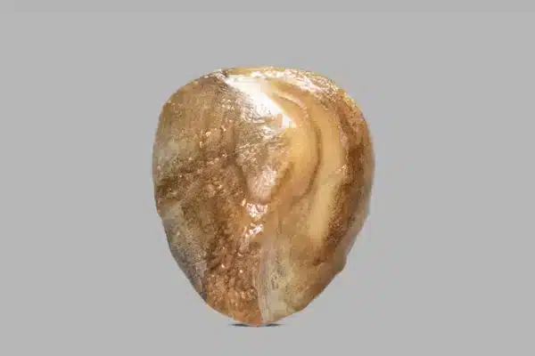 Natural Machh Mani 10.00 ct – Certified Golden Brown Gemstone