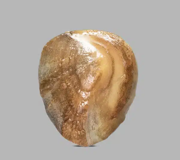 Natural Machh Mani 10.00 ct โ Certified Golden Brown Gemstone