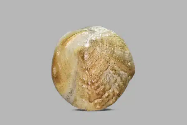 Natural Machh Mani 12.21 ct – Certified Golden Brown Gemstone