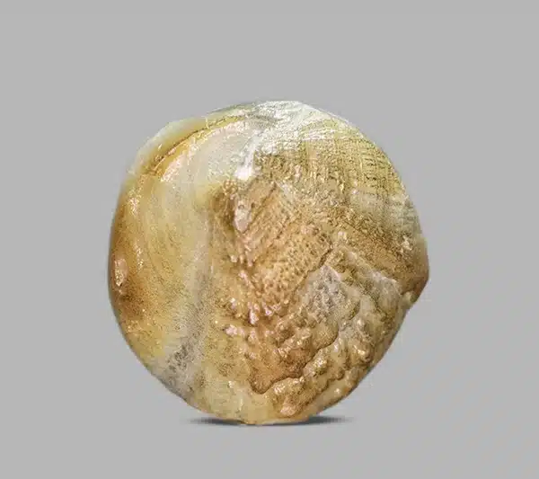 Natural Machh Mani 12.21 ct โ Certified Golden Brown Gemstone